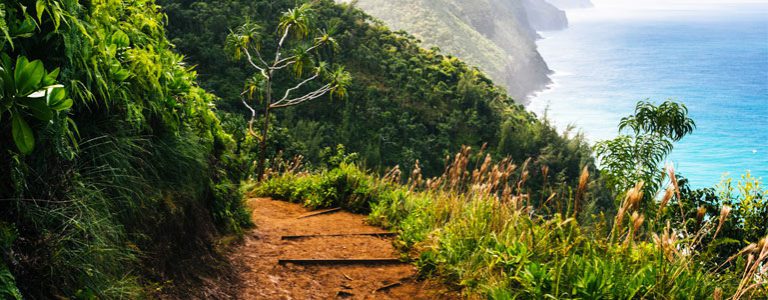 About Us - Trails Near Me