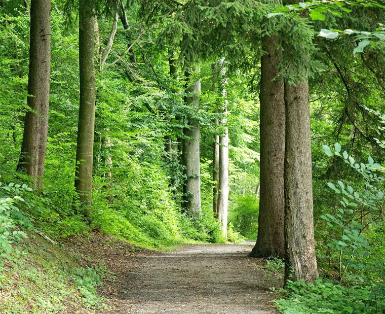 state bike trails near me