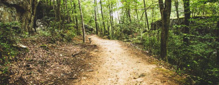Trails Near Me - Discover the Most Beautiful Hiking Trails