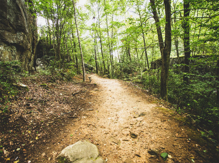 long hiking trails near me