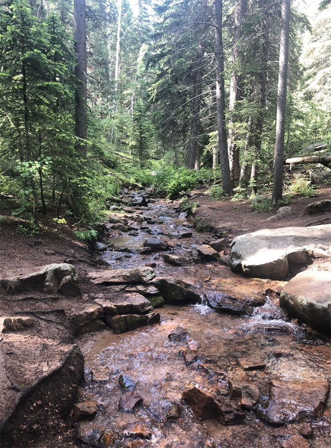 Maxwell Falls Lower Trail - Trails Near Me