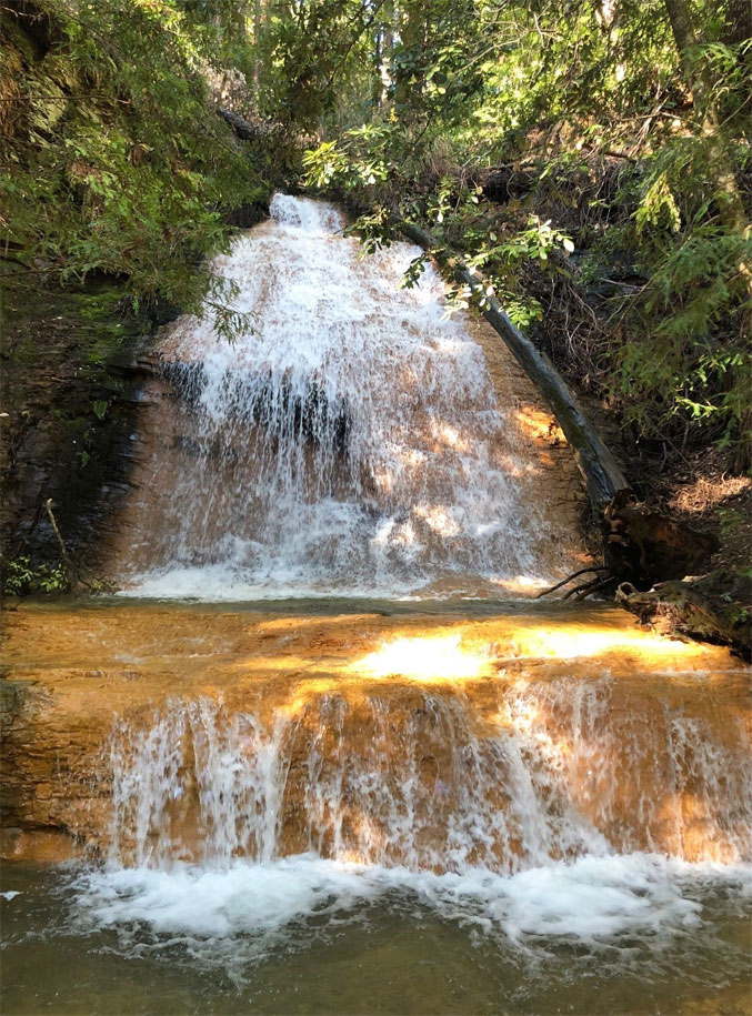Berry Creek Falls Loop - Trails Near Me