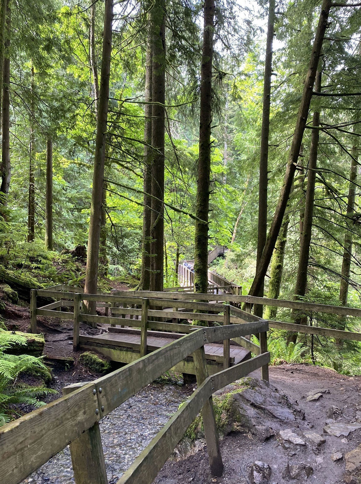 Twin Falls Trail Trails Near Me