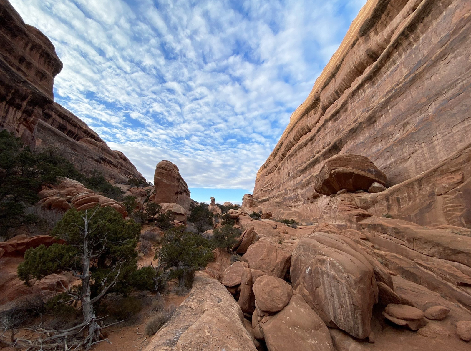 Devils Garden Loop Trail and Arches - Trails Near Me
