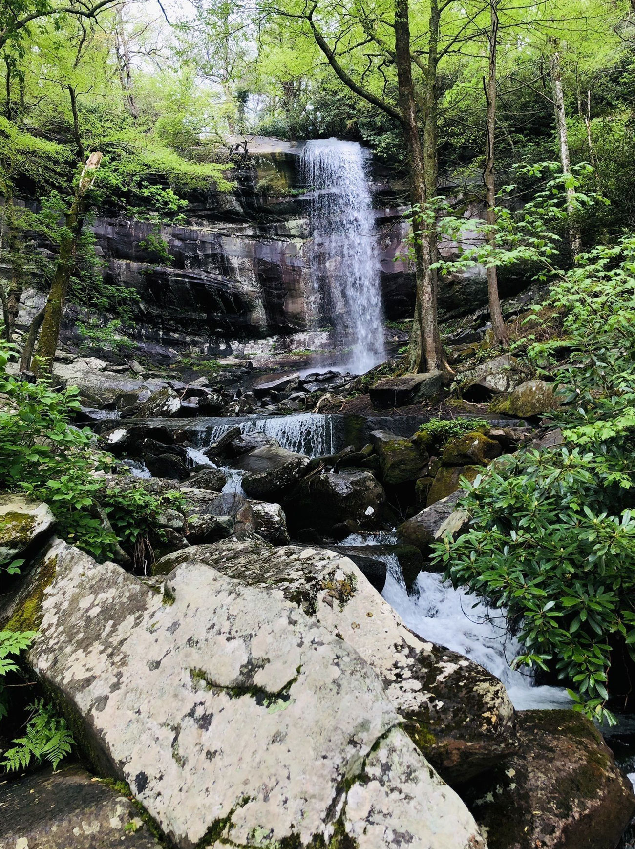 hiking trails with waterfalls near me Winter hikes asheville nc near