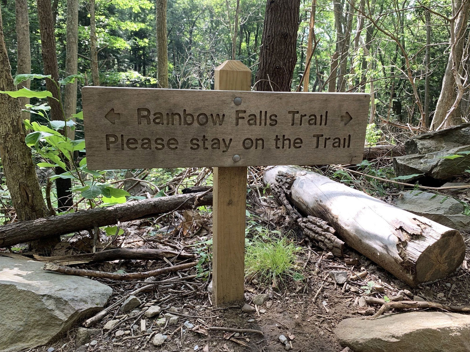 Rainbow Falls Trail - Trails Near Me