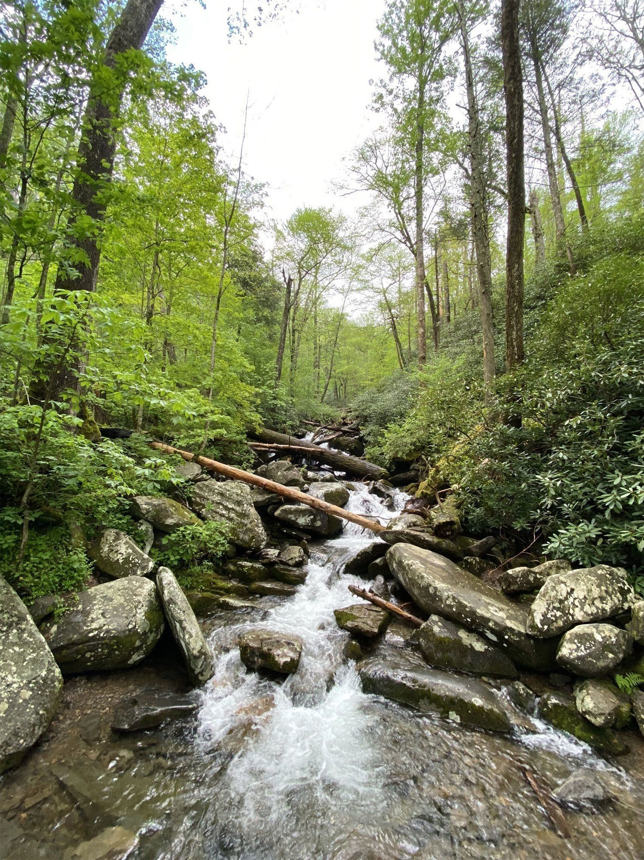 Rainbow Falls Trail Trails Near Me