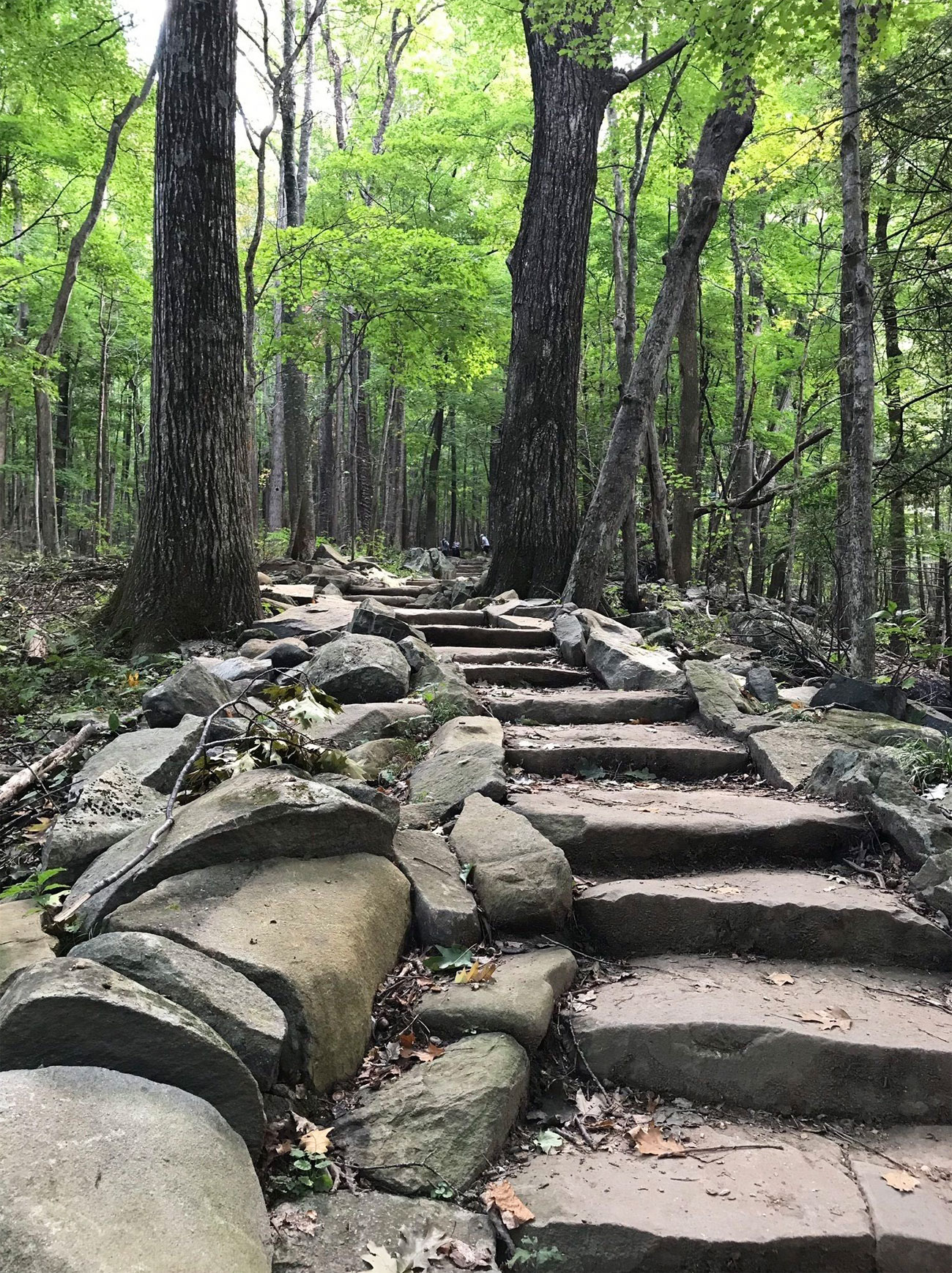 Rainbow Falls Trail Trails Near Me