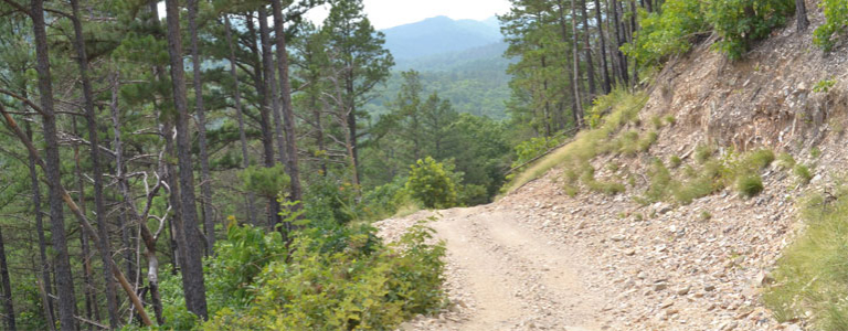 ATV Trails Near Me