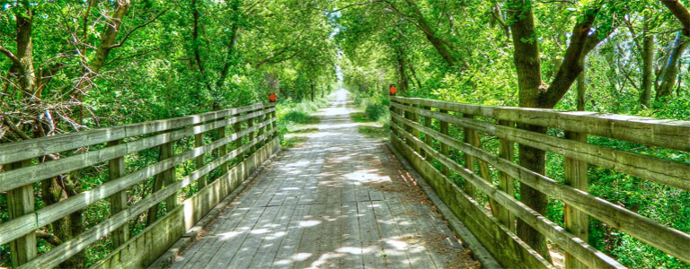 Biking Trails Near Me