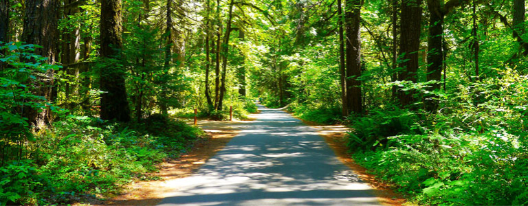 Paved Bike Trails Near Me