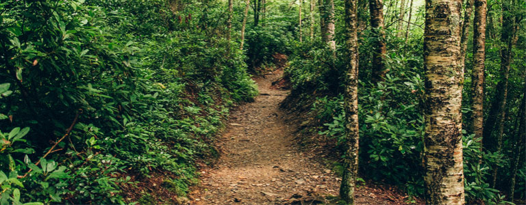 OHV Trails Near Me