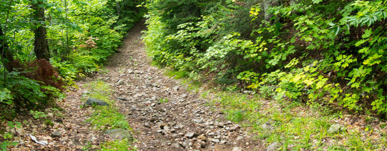 UTV Trails Near Me